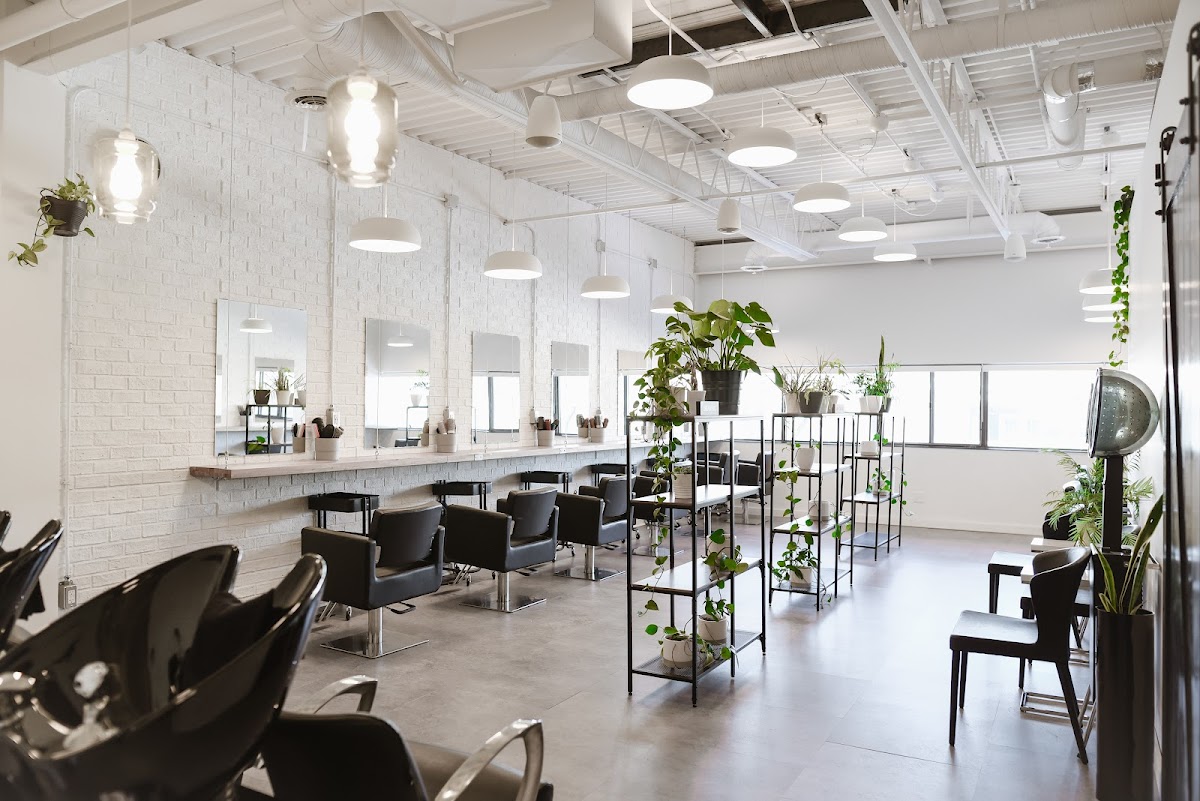Adara Hair & Body Studio — Beauty