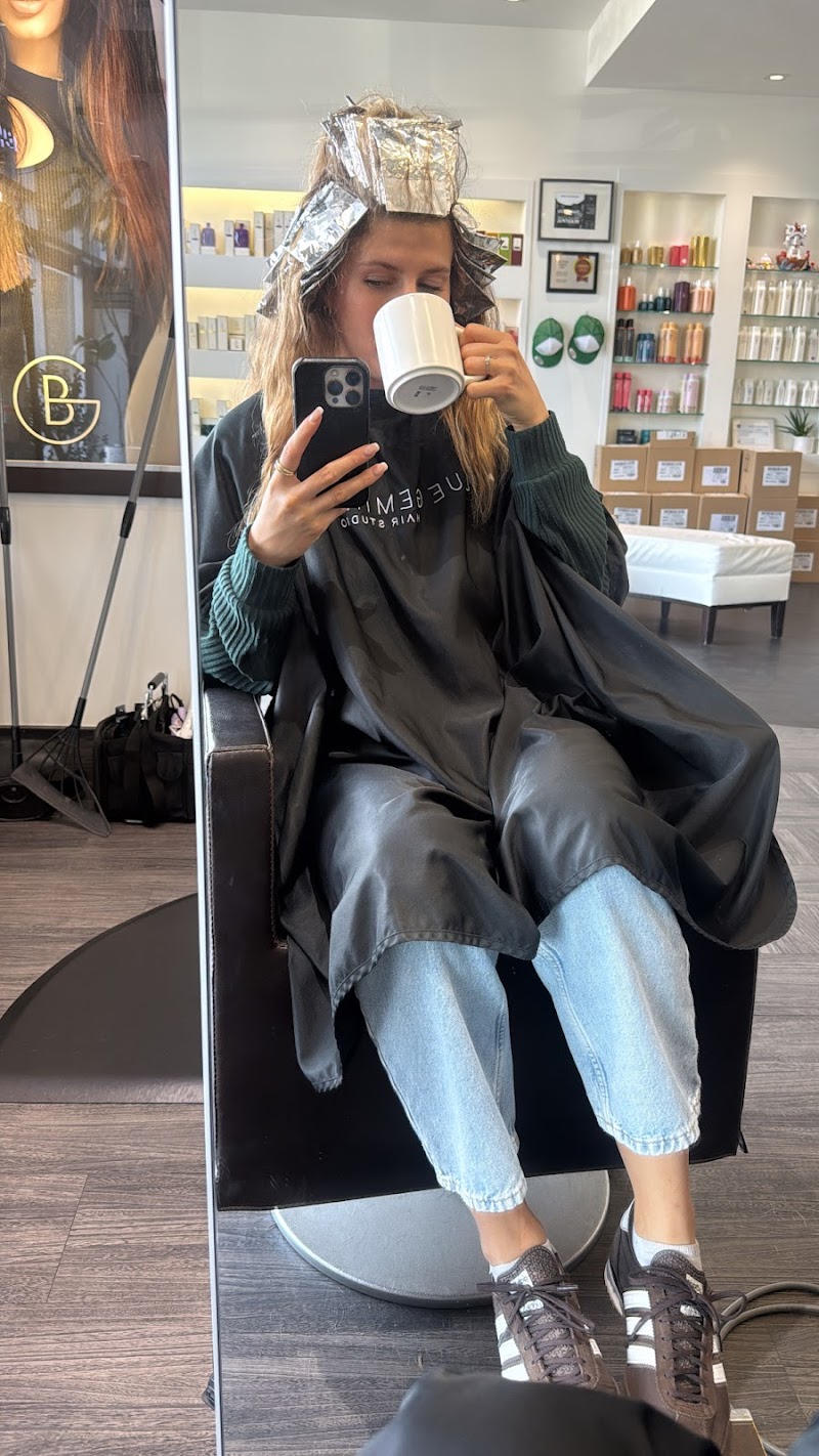 Blue Gemini Hair Studio