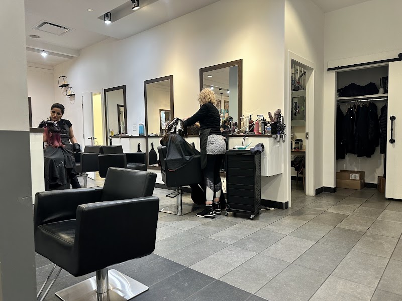 shake hair salon
