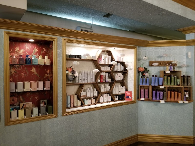 The Beauty Parlour