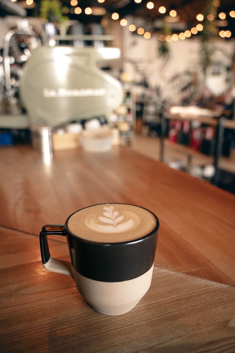 Roasti Coffee Co: Specialty Coffee Roaster And Cafe